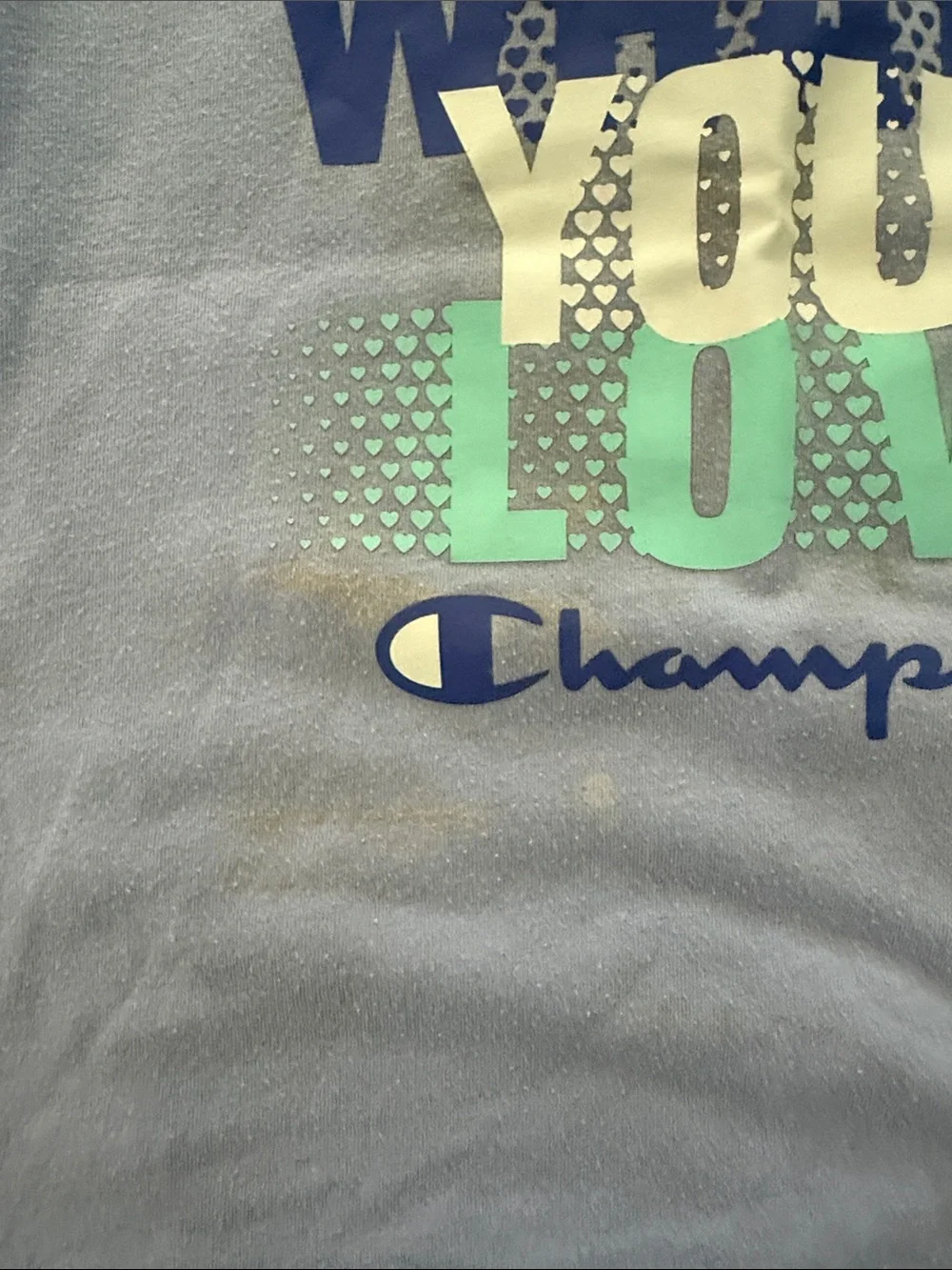 Champion Lavender & Mint 'Do What You Love' Girls Pajama Set